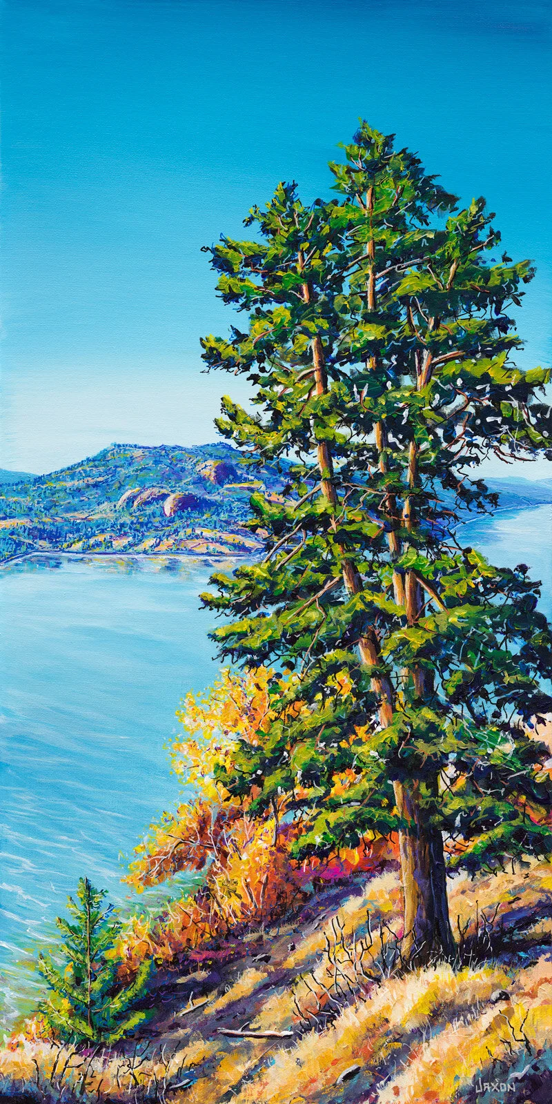 A Knox Mountain Morning I Prints of the Okanagan — Sun Sage & Sand